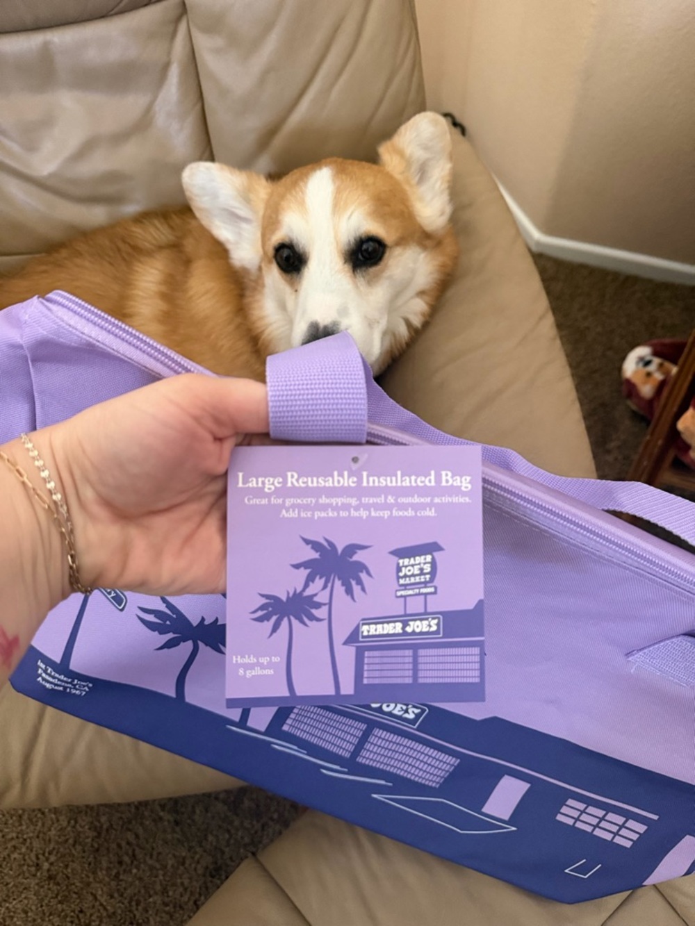Trader Joe's Lavender Large Reusable Insulated Tote